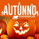 Il grande gioco della Zucca