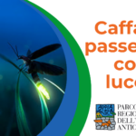 Caffarella, passeggiata con le lucciole