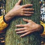 Forest bathing a Tor Marancia