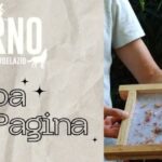Dalla polpa alla pagina
