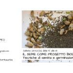 Il seme come progetto biologico: tecniche di semina e germinazione